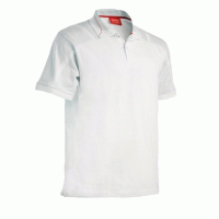 t-shirt_1530958669